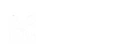 DishUp logo branca